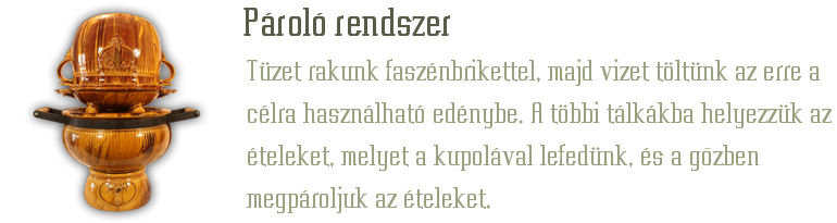 P�rol� rendszer